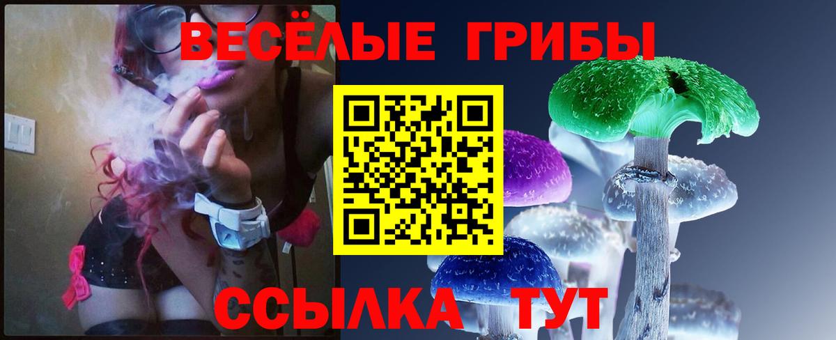 Ирбит  Галлюциногенные грибы Psilocybe  Вход с VPN 